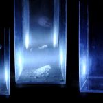 Fotografia zrealizowana w trakcie trwania etiudy inscenizacyjnej. W czarnej przestrzeni widać trzy szklane prostopadłościany oświetlone punktowo niebieskim światłem.