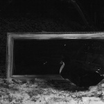 Czarno-białe zdjęcie przedstawiające duże lustro w ozdobnej ramie leżące poziomo na pokrytej śniegiem trawie. Przed lustrem stoi kaczka z głową skierowaną w stronę lustra. Pejzaż za lustrem chowa się w mroku.