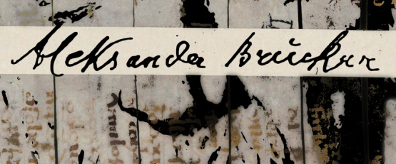Plakat przedstawiający graficzny portret Aleksandra Bruknera z wkomponowanym w tle tekstem.